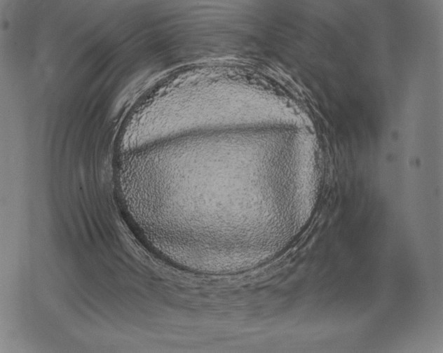 X0000073520002200608211816