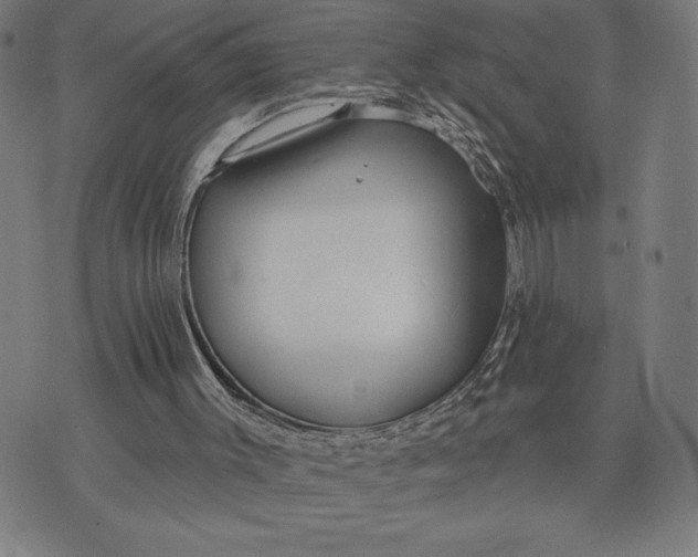 X0000073520003200608211816