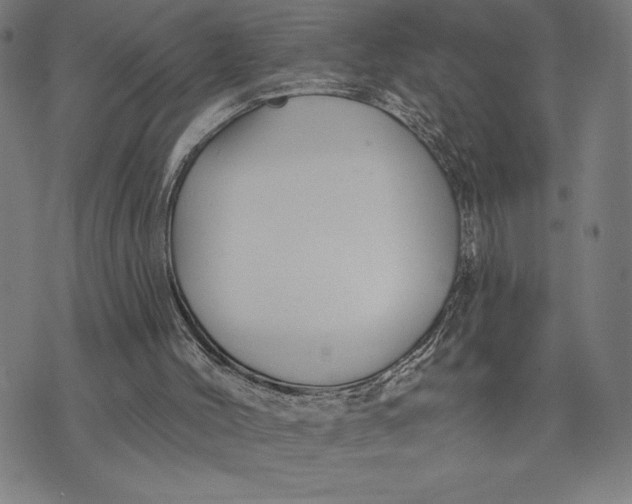 X0000073520004200608211816