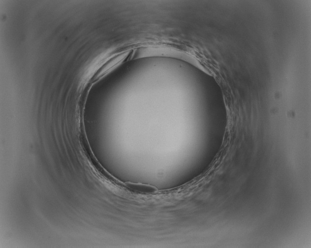 X0000073520005200608211816