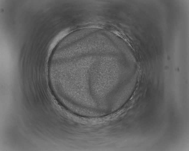 X0000073520006200608211816