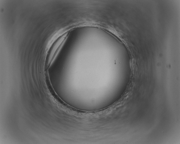 X0000073520007200608211816