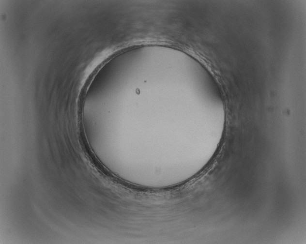 X0000073520008200608211816