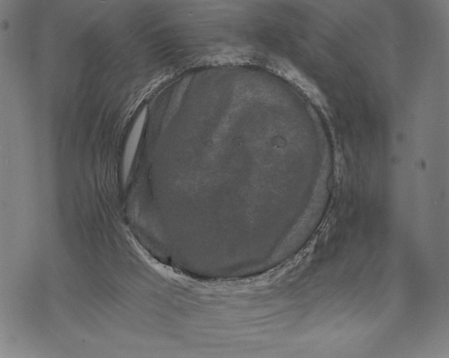 X0000073520009200608211816