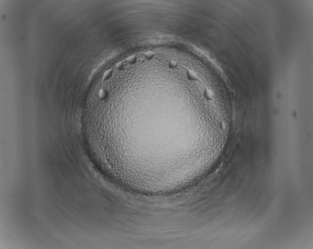 X0000073520010200608211816