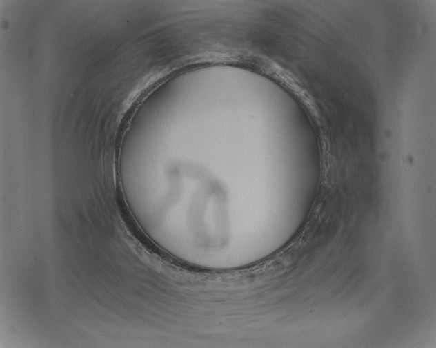 X0000073520011200608211816