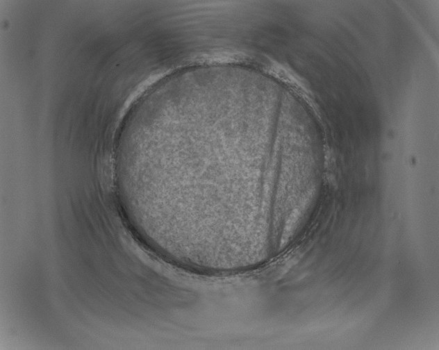 X0000073520012200608211816