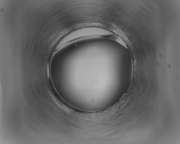 X0000073520013200608211816