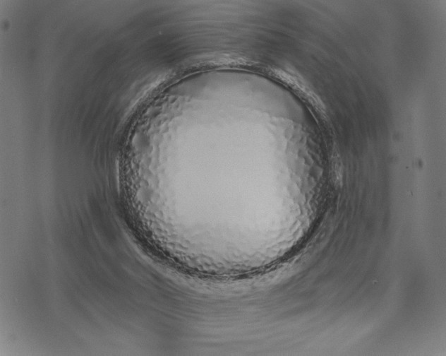 X0000073520014200608211816