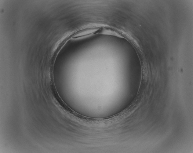 X0000073520015200608211816