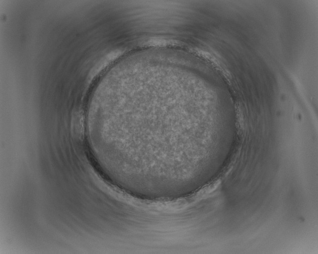 X0000073520016200608211816