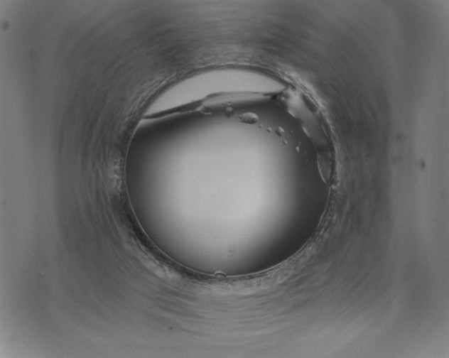 X0000073520017200608211816