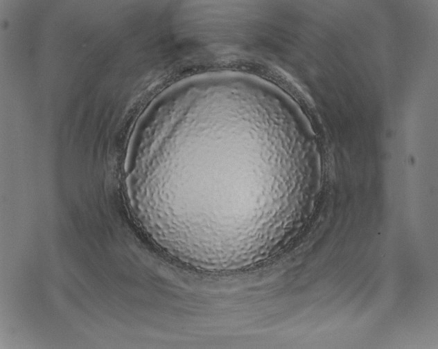 X0000073520018200608211816