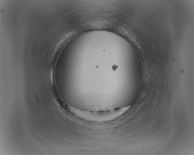 X0000073520019200608211816