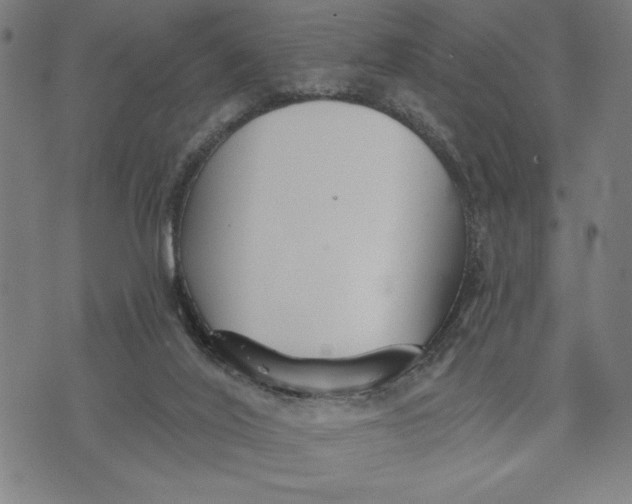 X0000073520020200608211816