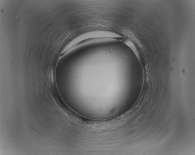 X0000073520021200608211816