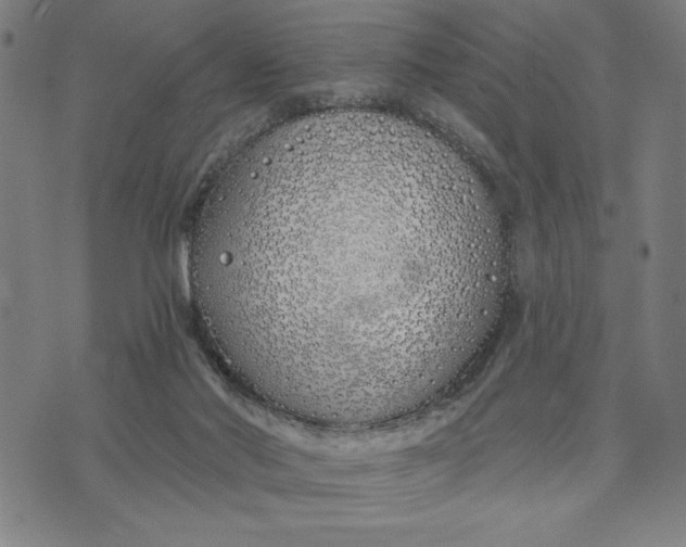 X0000073520022200608211816