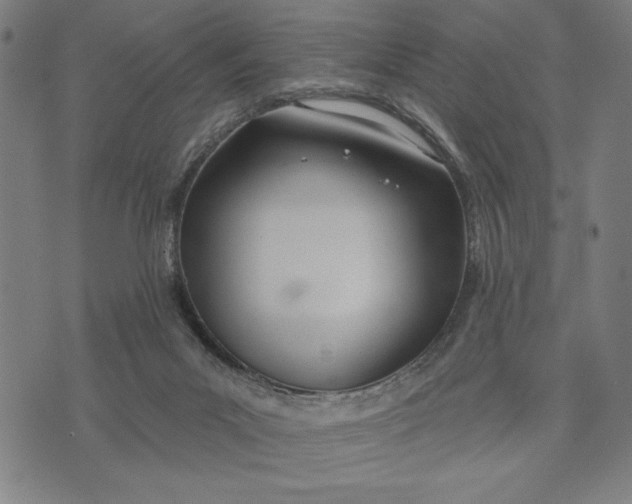 X0000073520023200608211816