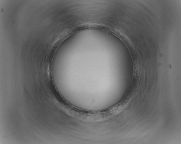 X0000073520024200608211816