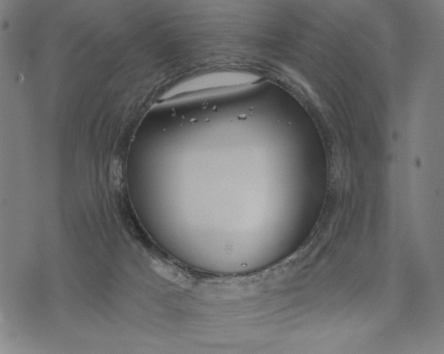 X0000073520025200608211816