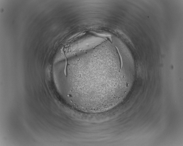 X0000073520026200608211816