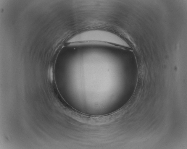 X0000073520027200608211816