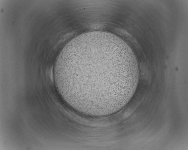 X0000073520028200608211816