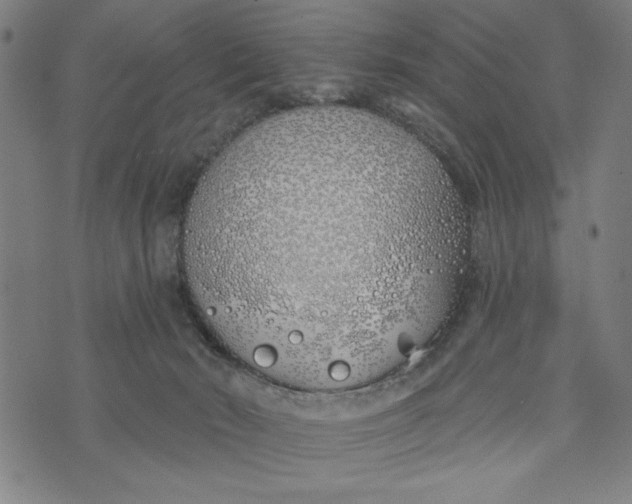 X0000073520030200608211816