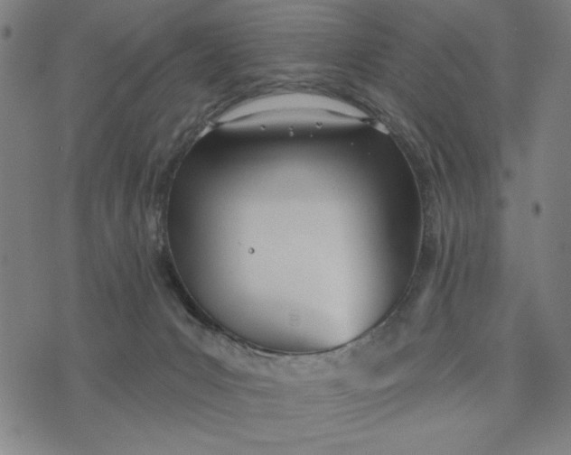 X0000073520031200608211816