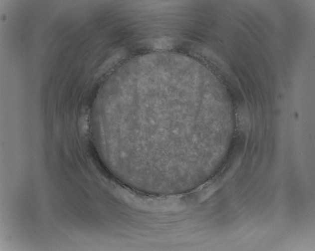 X0000073520032200608211816