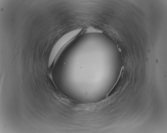 X0000073520033200608211816