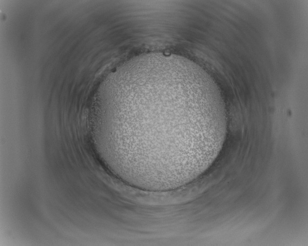 X0000073520034200608211816