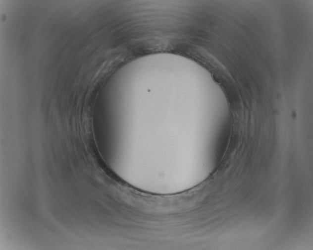 X0000073520035200608211816