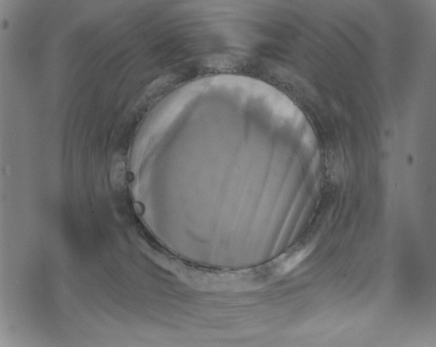 X0000073520036200608211816