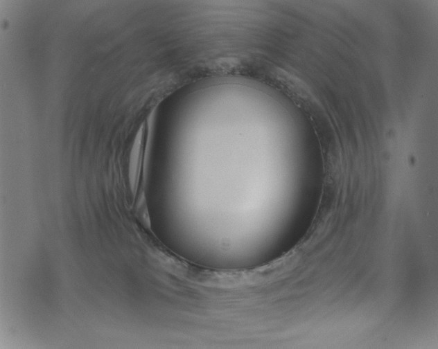 X0000073520037200608211816