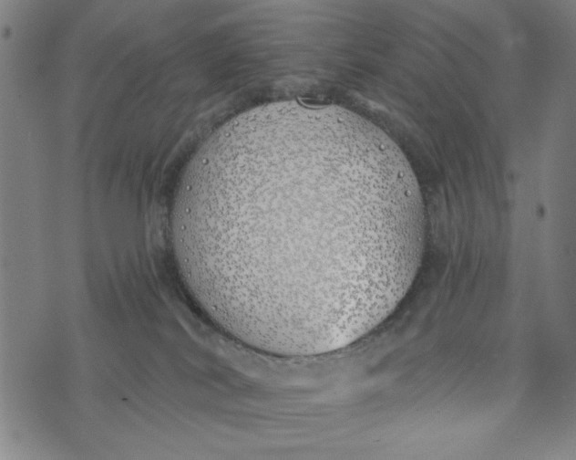 X0000073520038200608211816