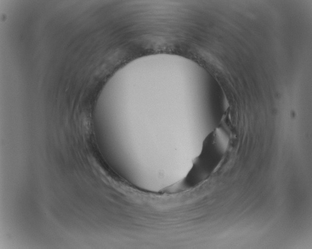 X0000073520039200608211816