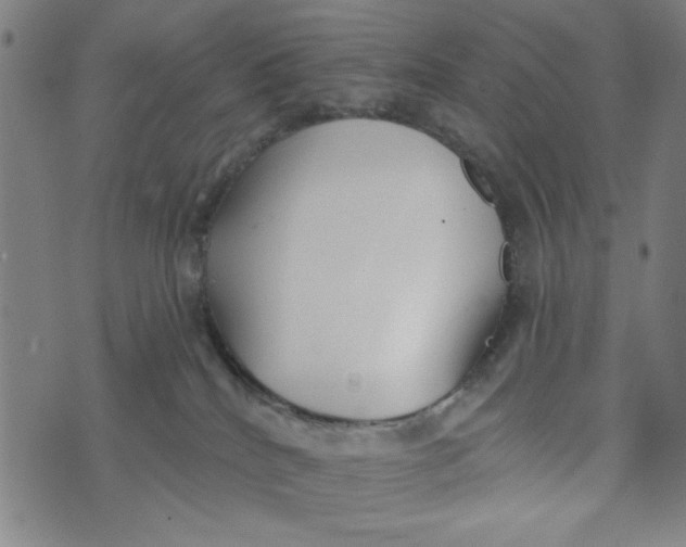 X0000073520040200608211816