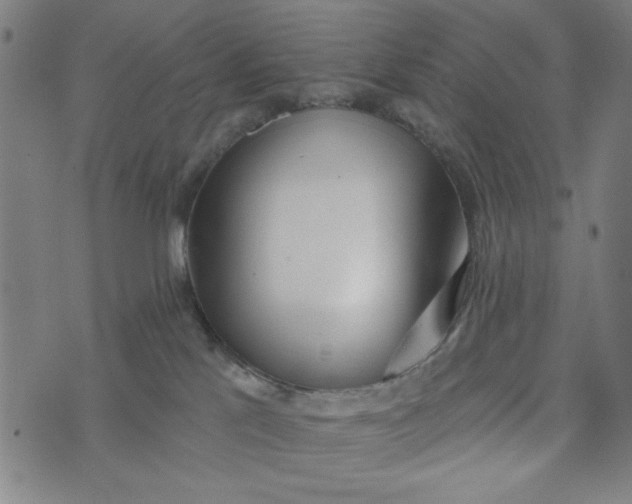 X0000073520041200608211815