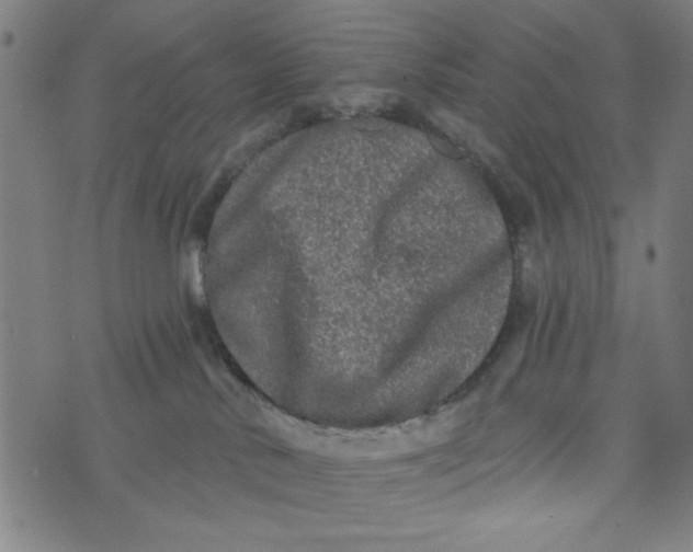 X0000073520042200608211815