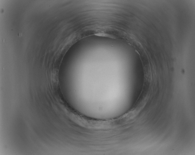 X0000073520044200608211815