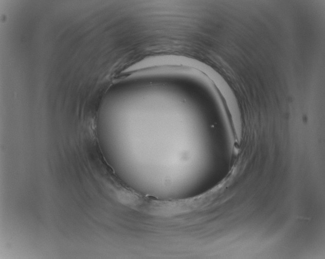 X0000073520045200608211815