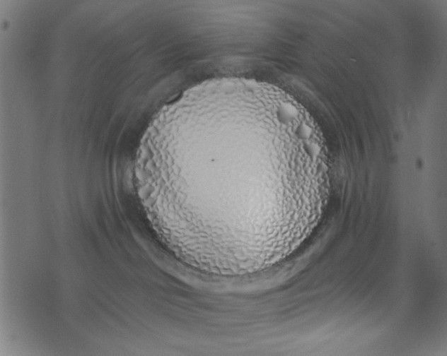 X0000073520046200608211815