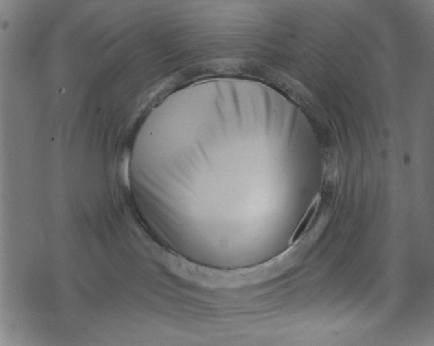 X0000073520047200608211815