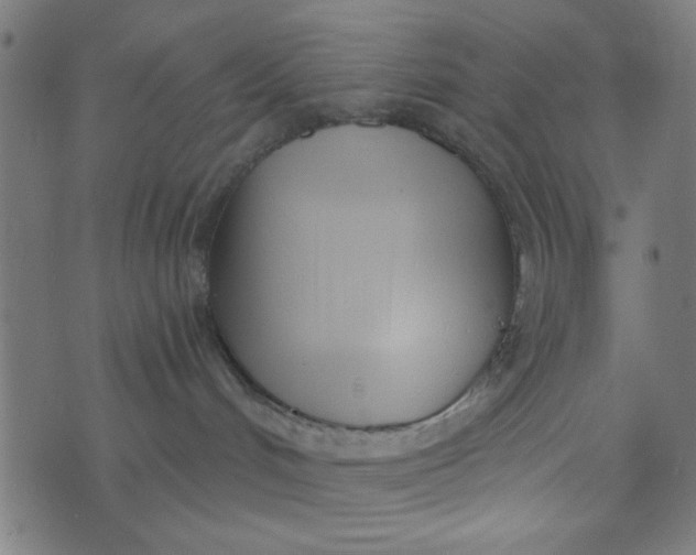 X0000073520048200608211815