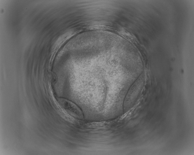 X0000073520049200608211815