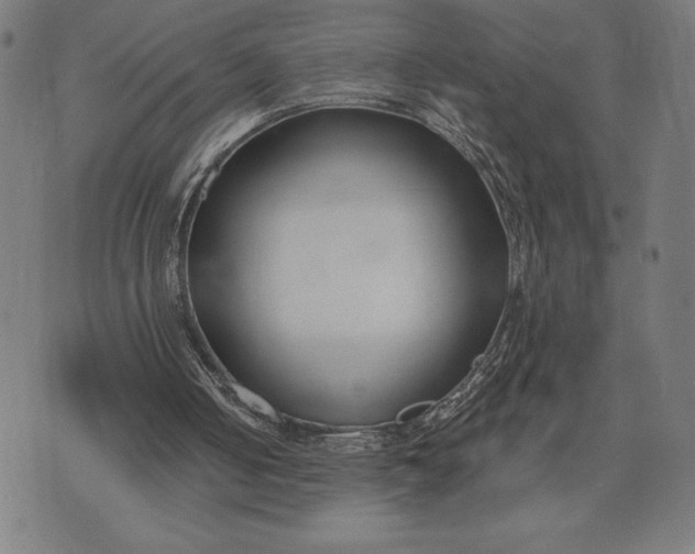 X0000073520050200608211815