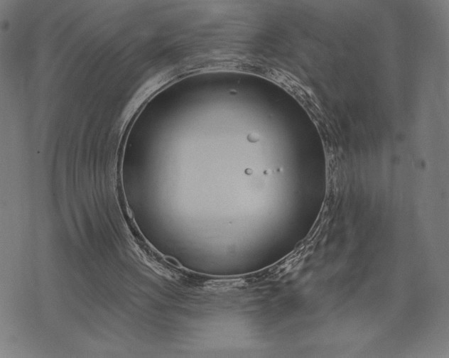 X0000073520051200608211815