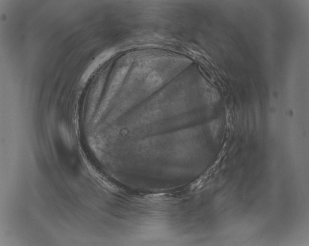 X0000073520054200608211815