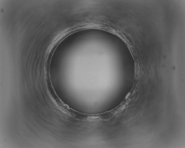 X0000073520055200608211815